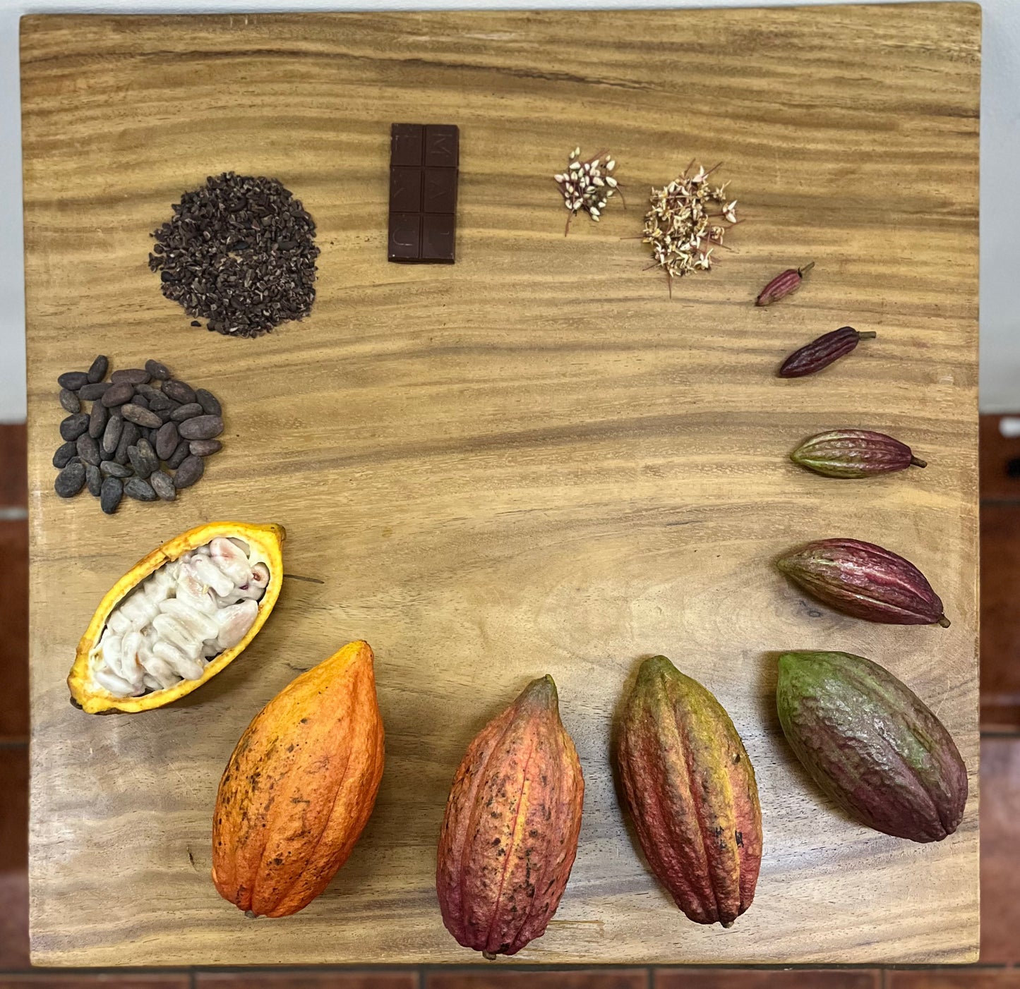 Chocolate Explorers Afterschool - Semester Enrollment