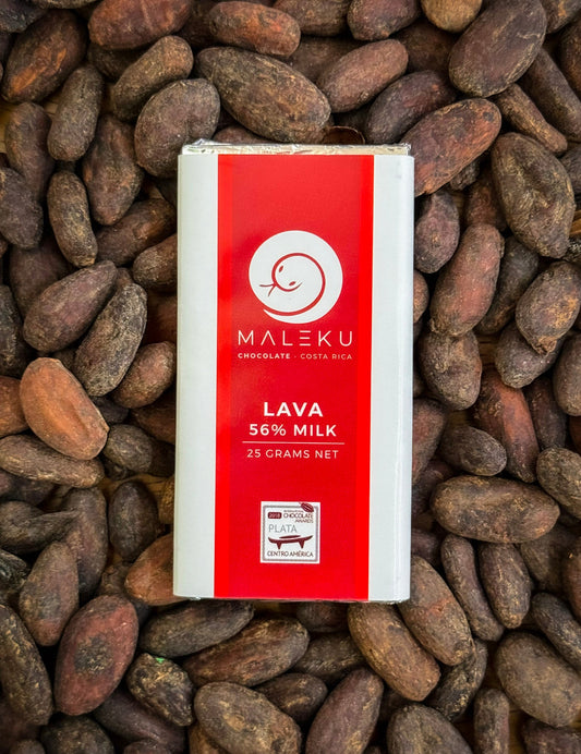 whole cacao beans