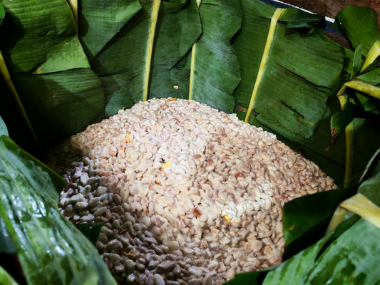The Alchemy of Flavor: Inside Our Cacao Fermentation Boxes