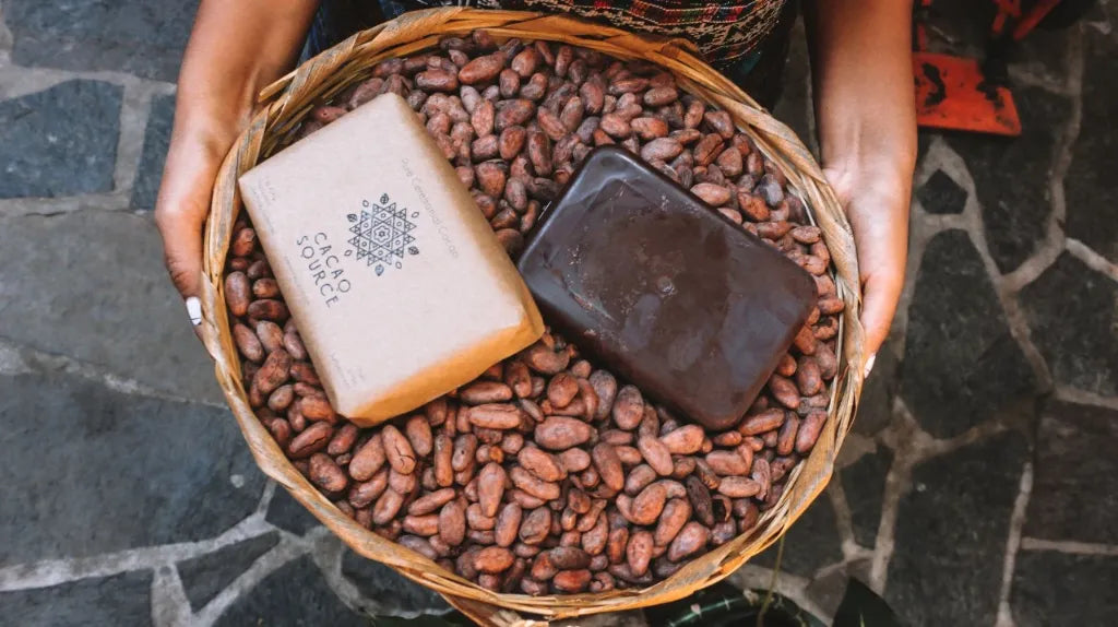 Cacao Source: Rebuilding the Relationship Between People, Land, and Chocolate