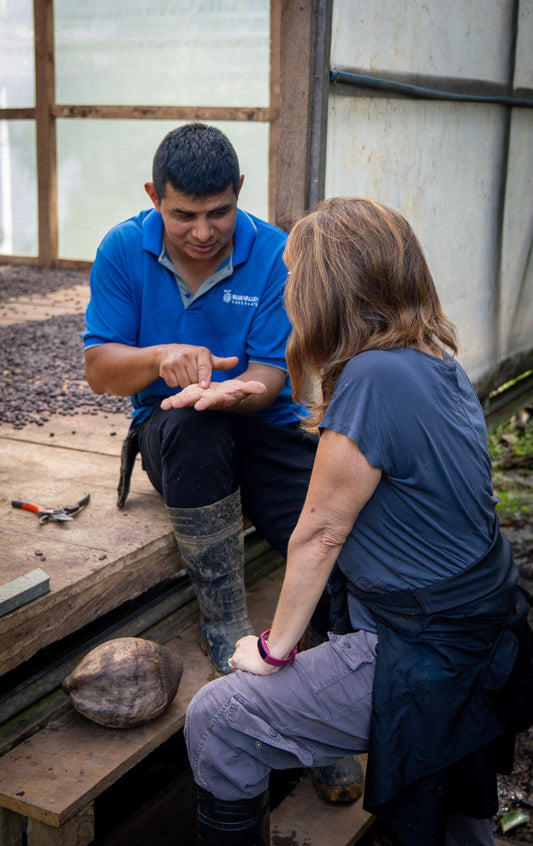  cacao farm tour, cacao experience Costa Rica,