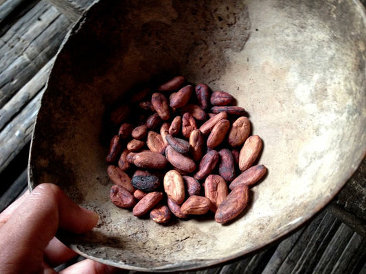 cacao roasting traditions by Tanya Rao