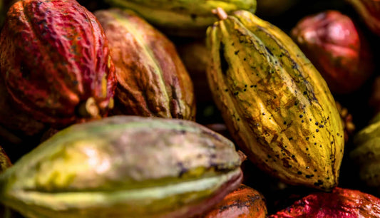 Why the Howler Magazine Feature on Blue Valley Chocolate Matters for Costa Rica