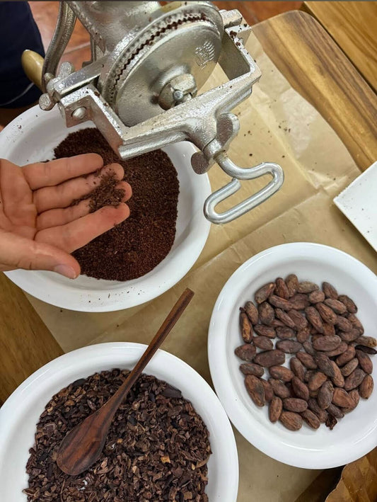 cocoa bean drying