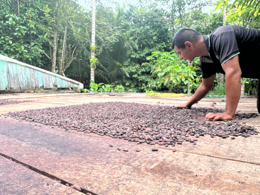 eco-friendly chocolate factory in costa rica