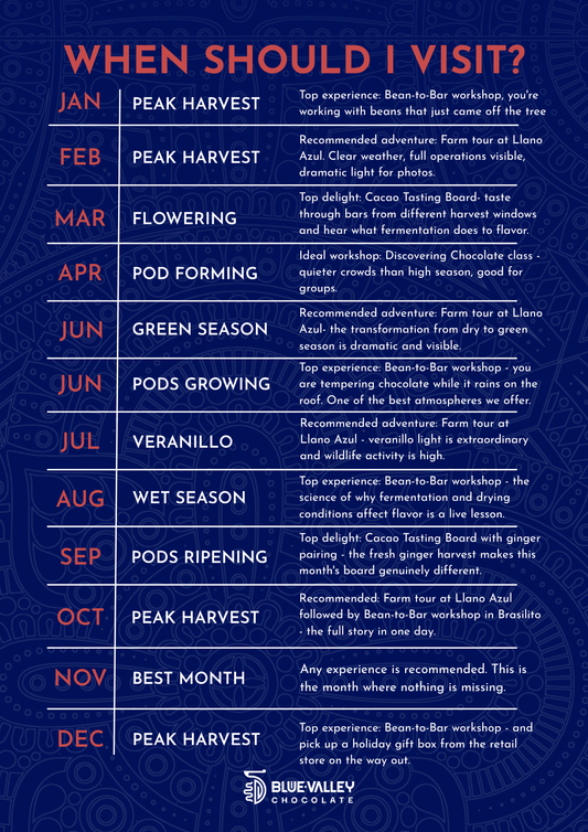 Every Month Is Different: What You'll See, Taste, and Do