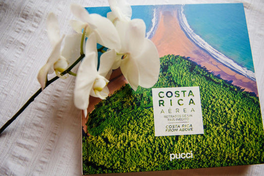 costa rica chocolate process creation