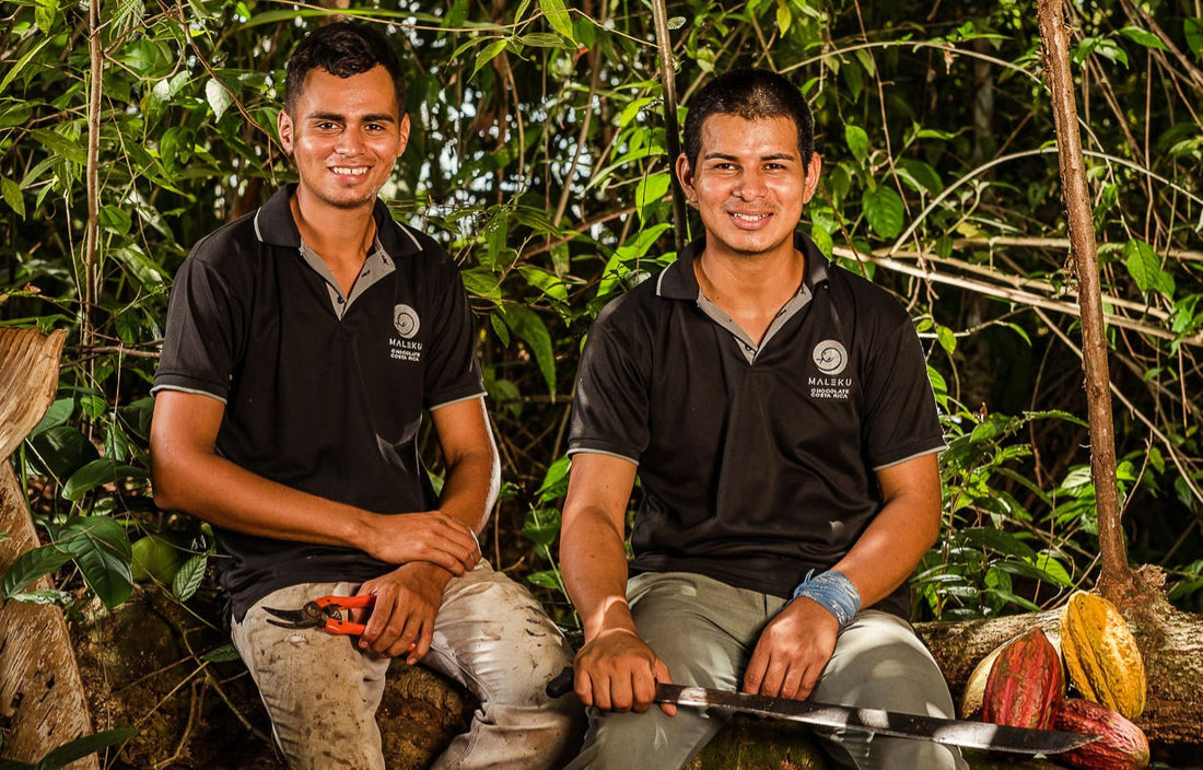 meet the cacao farmer