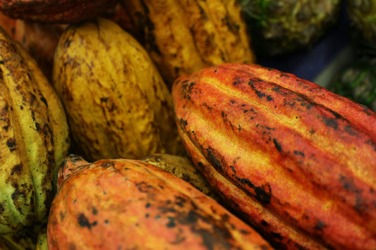 What Cacao Rituals Can Teach Us About Slowing Down