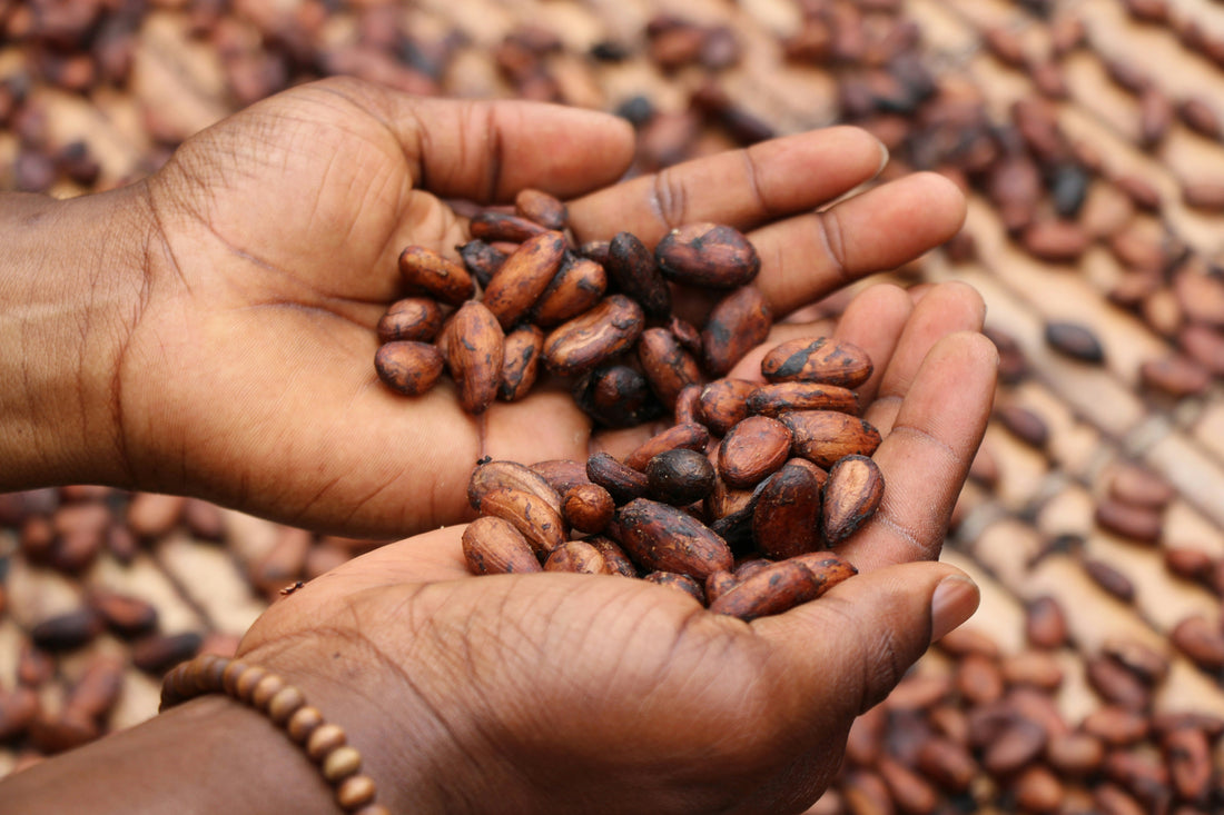 chocolate making