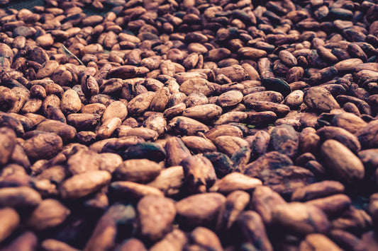 El ritual del cacao: Cómo la alimentación consciente transforma tu bienestar emocional