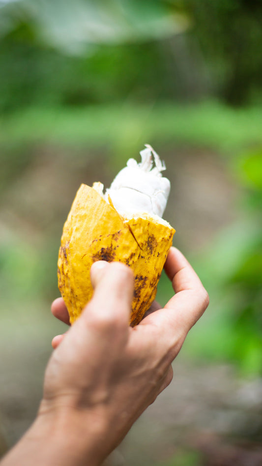 The Real Reason Chocolate Feels So Comforting, According to Science