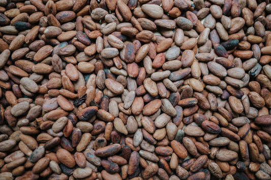 cacao traditions