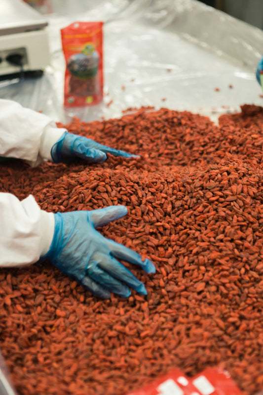 history of chocolate making