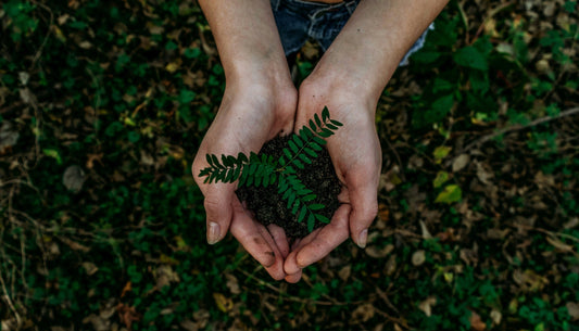 sustainable chocolate packagging