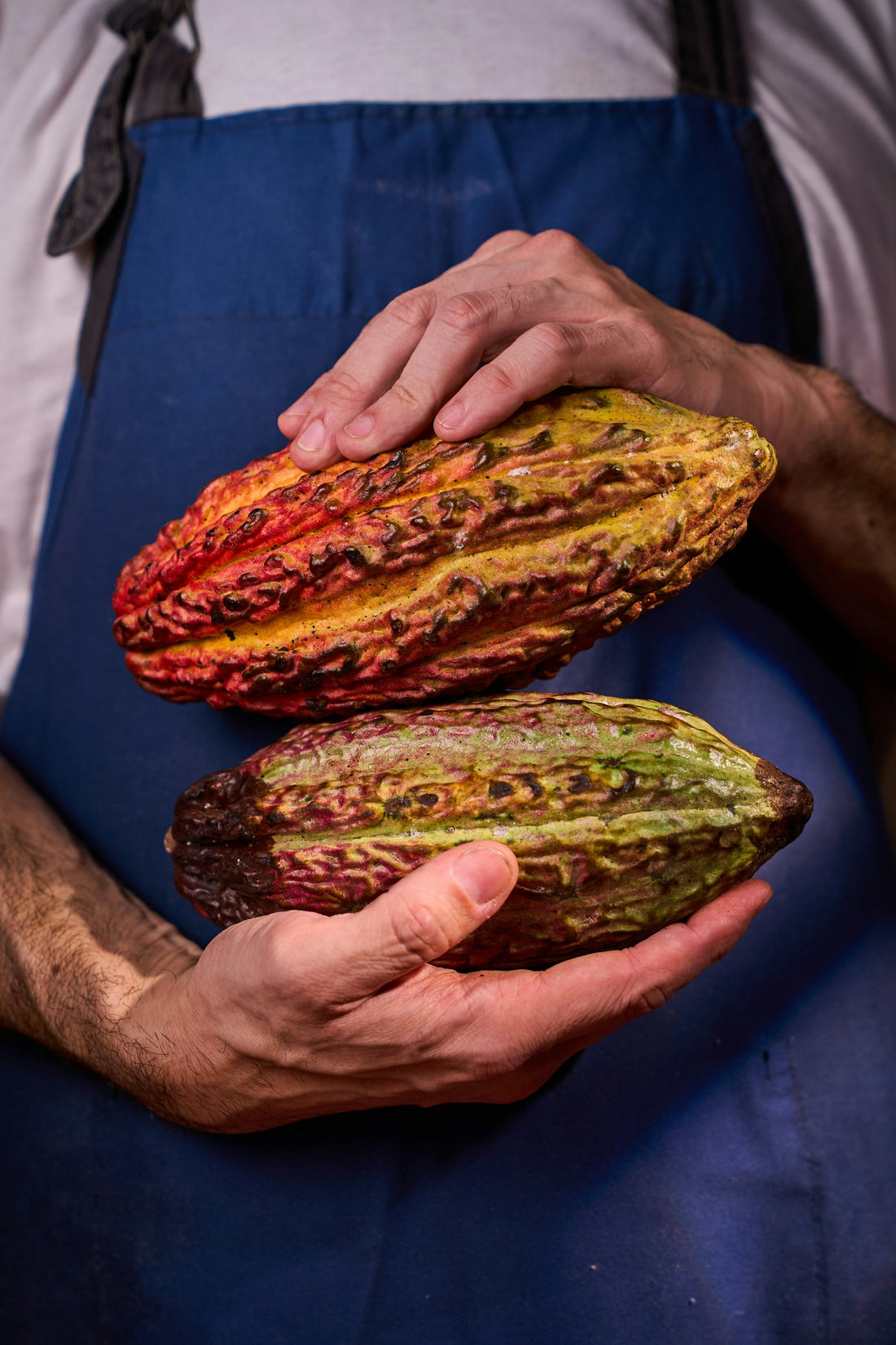 organic cacao certification