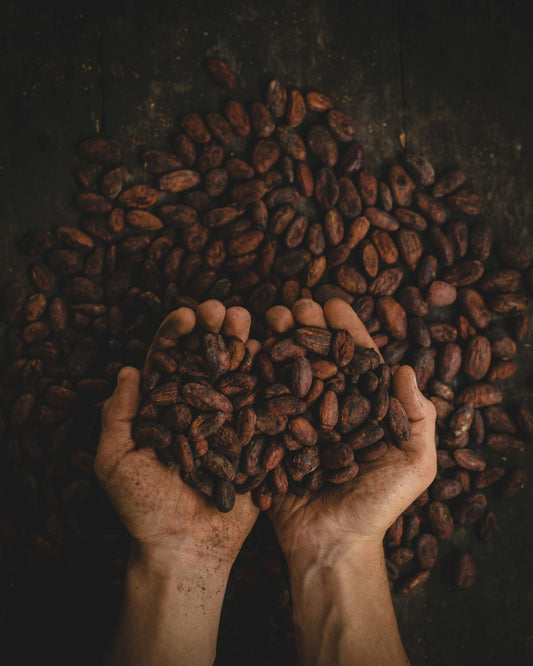 cacao husk tea