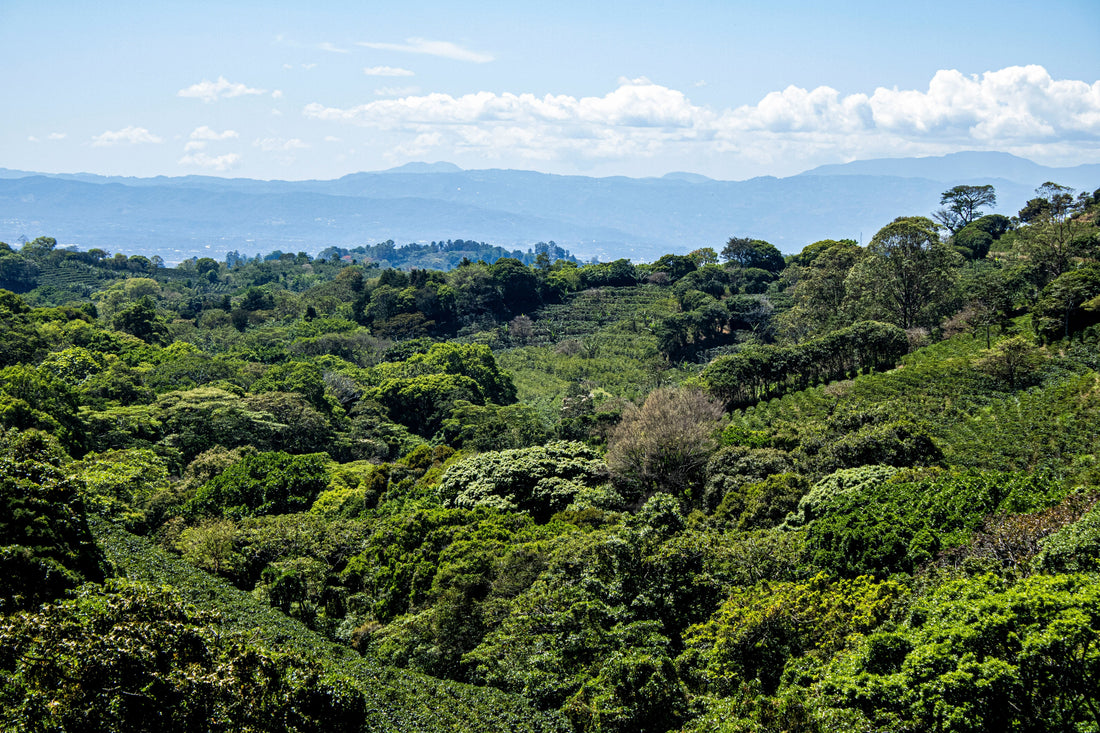 Costa Rica