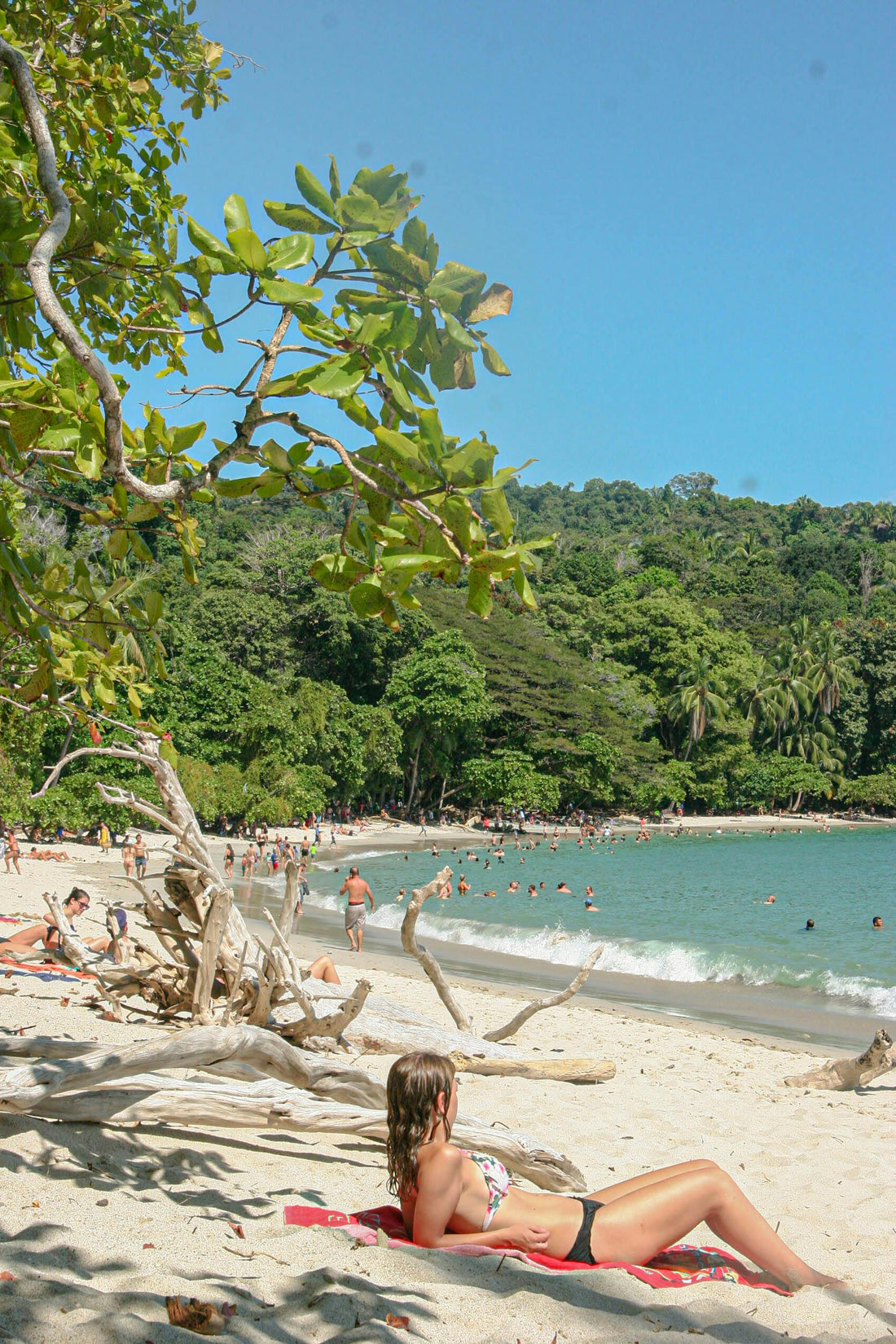 Valentine’s Day in Costa Rica