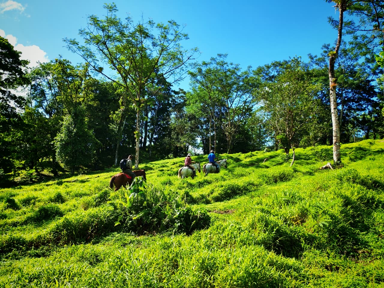 Blue Valley Chocolate Farm — Horseback Riding, Swimming & Picnic Experience