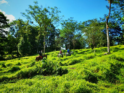 Blue Valley Chocolate Farm — Horseback Riding, Swimming & Picnic Experience