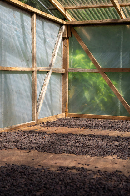 Blue Valley Chocolate Farm Tour — Half Day Experience with Lunch