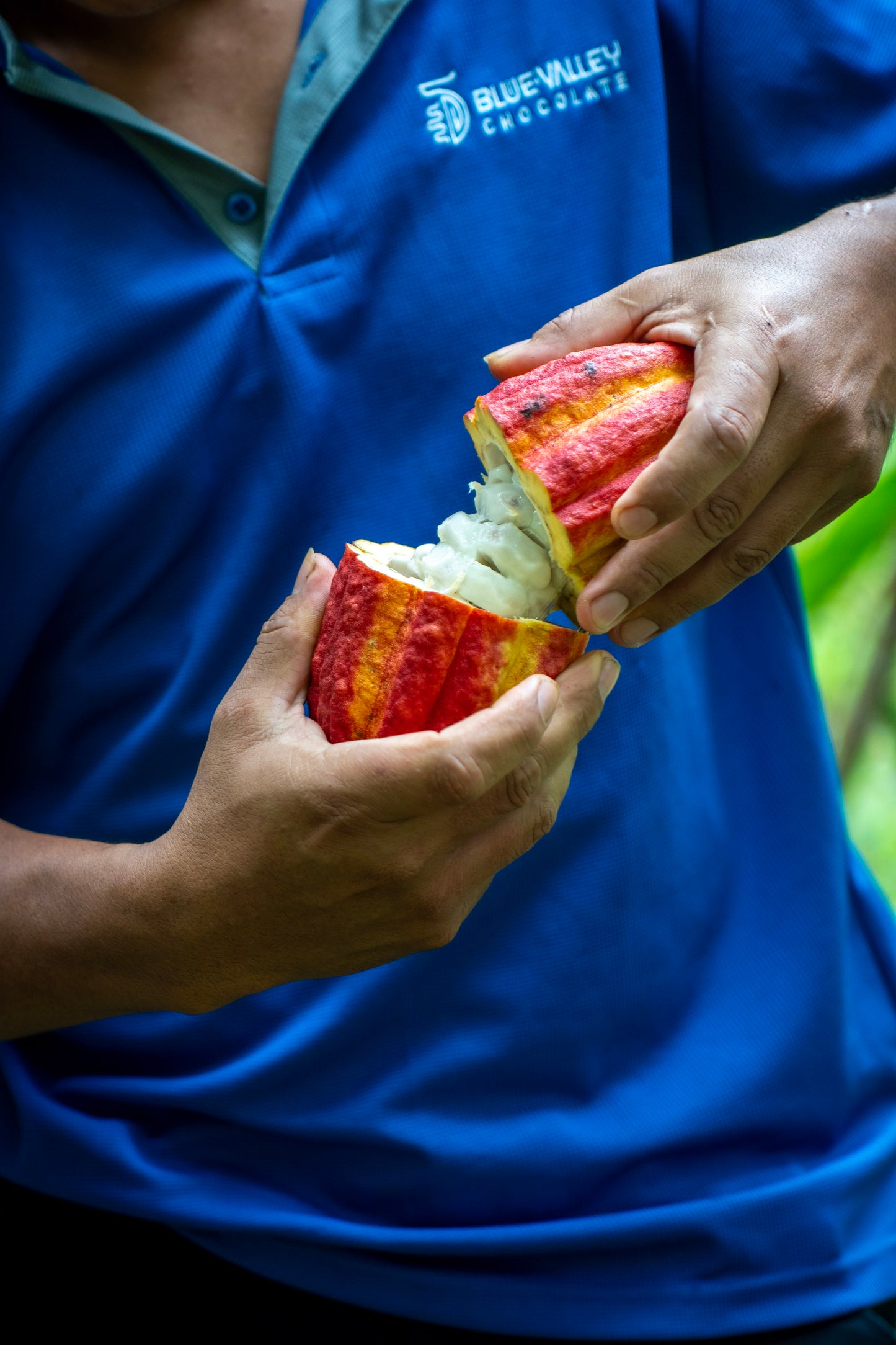 Blue Valley Chocolate Farm Tour — Half Day Experience with Lunch