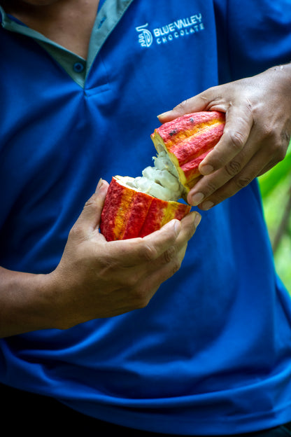 Blue Valley Chocolate Farm Tour — Half Day Experience with Lunch