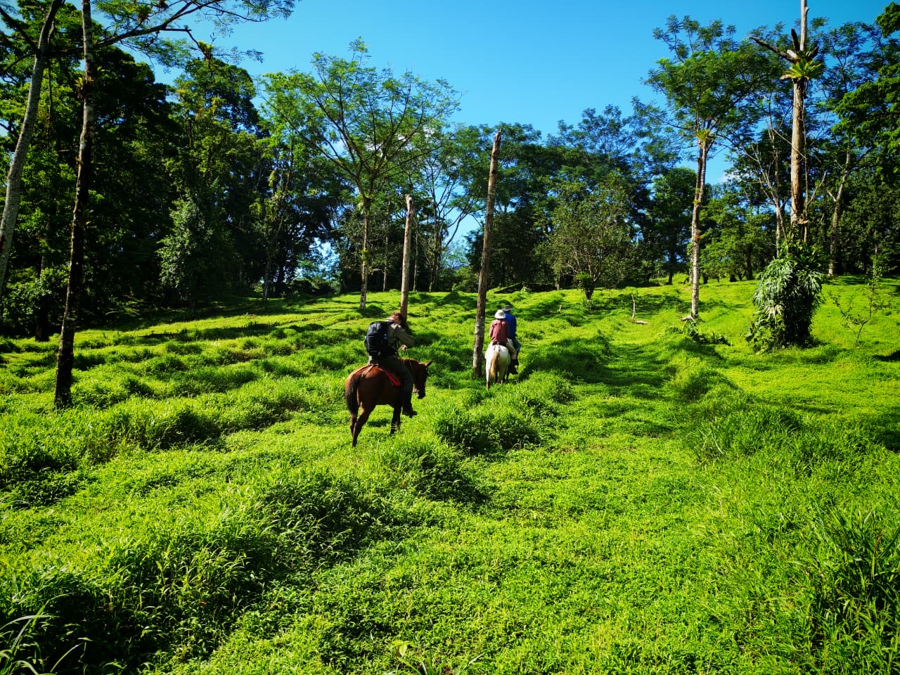 Blue Valley Chocolate Farm — Horseback Riding, Swimming & Picnic Experience