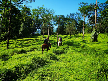 Blue Valley Chocolate Farm — Horseback Riding, Swimming & Picnic Experience