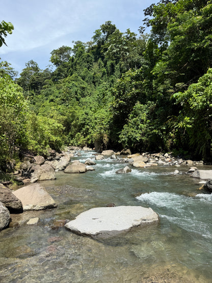 Blue Valley Chocolate Farm — Horseback Riding, Swimming & Picnic Experience