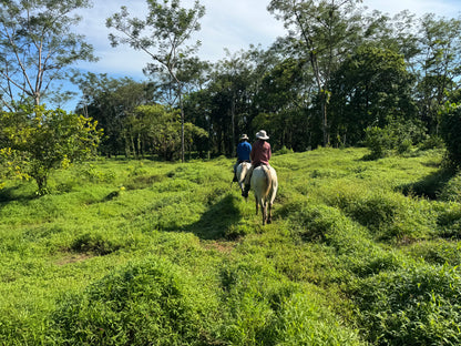 Blue Valley Chocolate Farm — Horseback Riding, Swimming & Picnic Experience